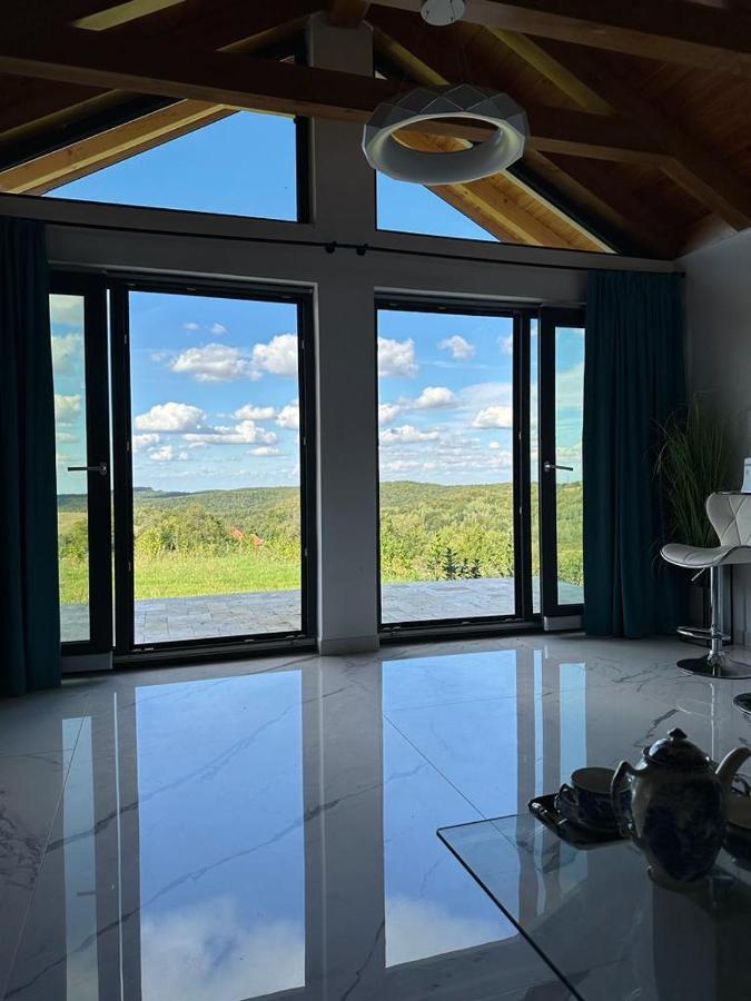 Casa Moderna In Sinteu - Intersectia Intre Modern Si Linistea Naturii Huta Voivozi Екстер'єр фото