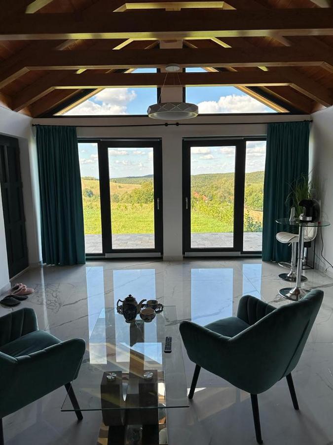 Casa Moderna In Sinteu - Intersectia Intre Modern Si Linistea Naturii Huta Voivozi Екстер'єр фото