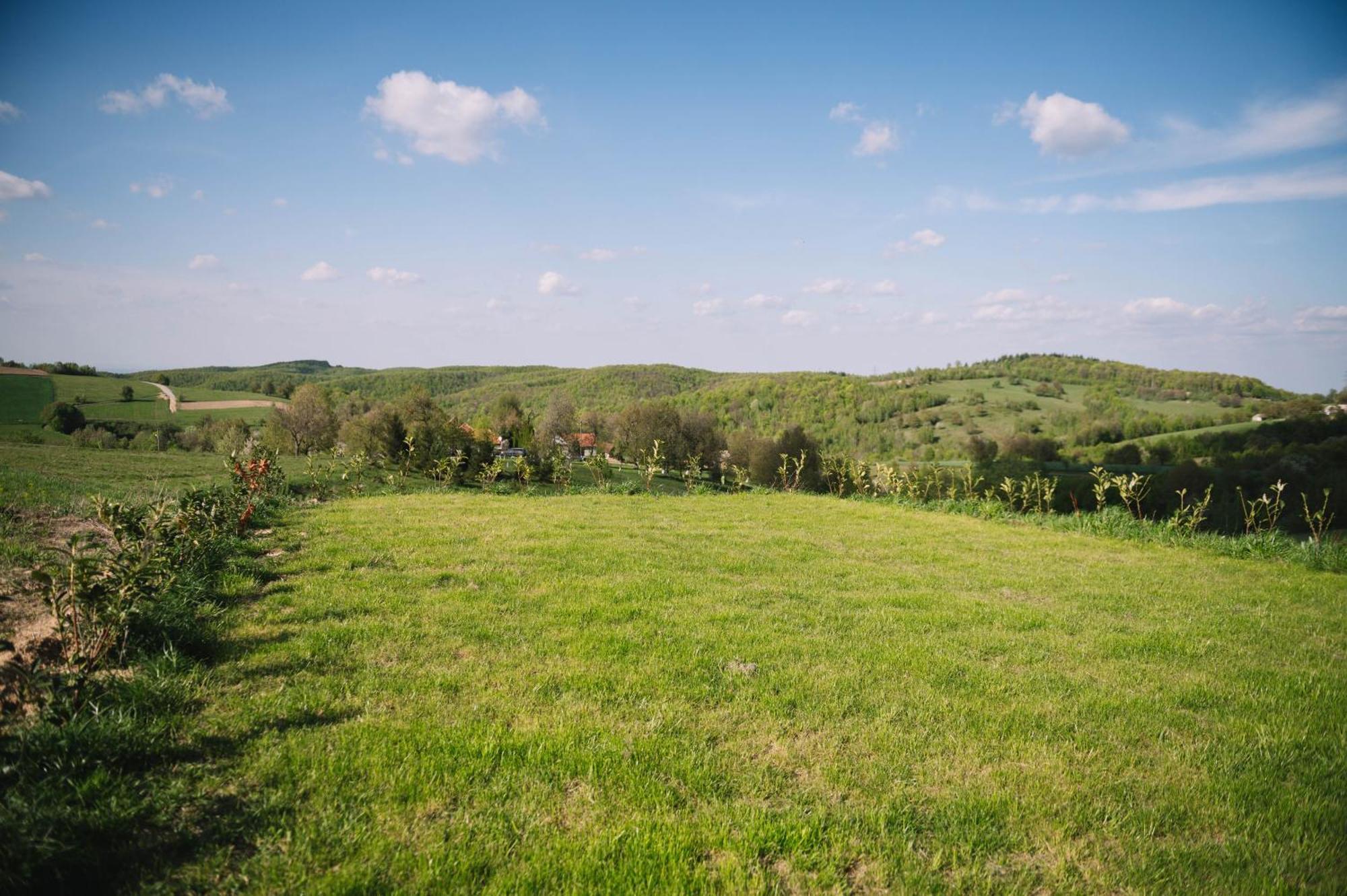 Casa Moderna In Sinteu - Intersectia Intre Modern Si Linistea Naturii Huta Voivozi Екстер'єр фото
